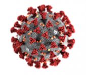 korona virus, covid19, corona vírus, opatrenia,